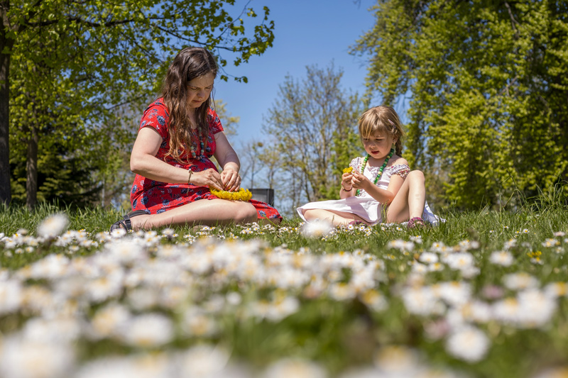 Těhotná maminka v červených šatech plete věneček z pampelišek se dvou tříletou holčičkou na louce se sedmikráskami. Maminka má dlouhé tmavé vlasy. Maminka i holčička mají na krku doma dělané korále.
