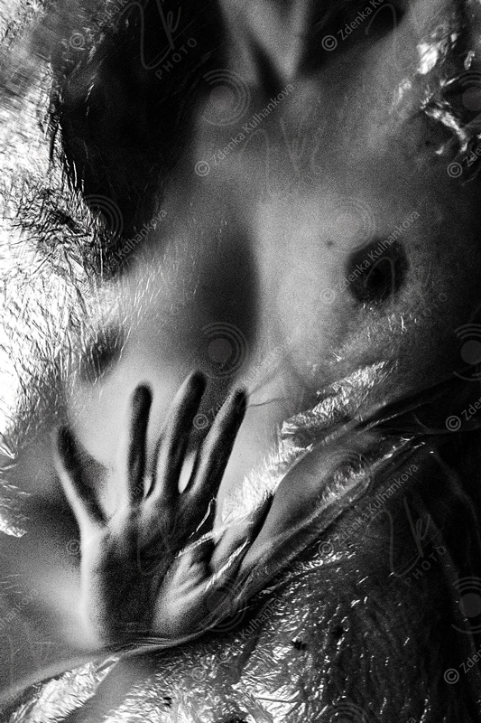 10. čti mi z dlaně